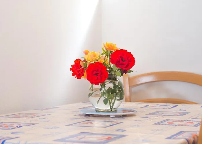Cvita Sucic Apartment Trogir
