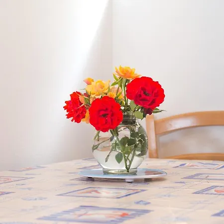 Cvita Sucic Apartmán Trogir